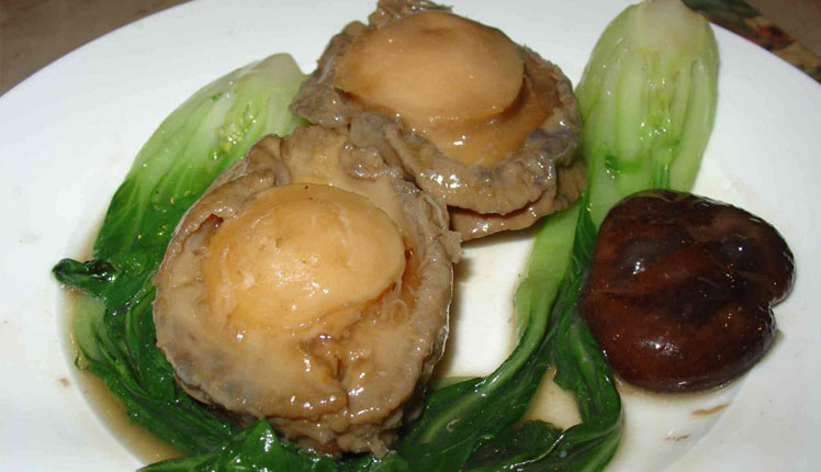 Abalone