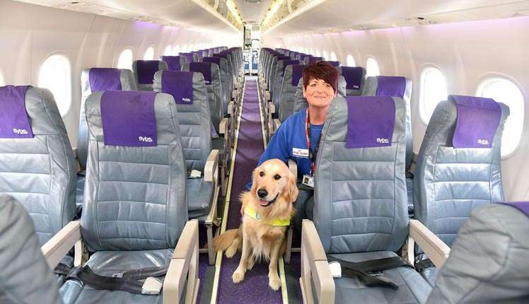 Flying with Fido 