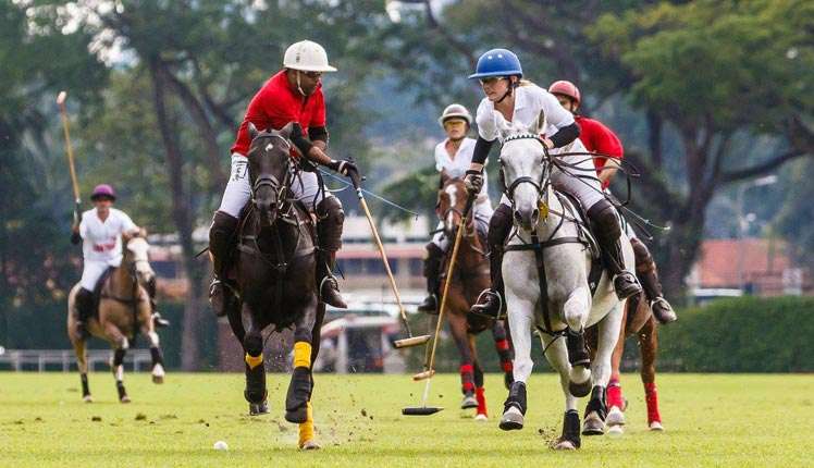 Polo Club Membership In India Is Easy Now 