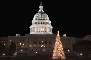 Capitol Christmas Tree in Washington DC